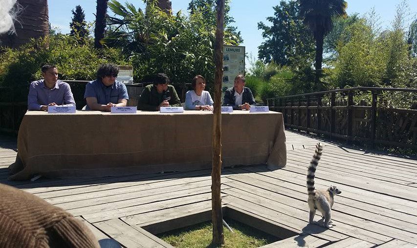 Bioparco Zoom Torino - #conoscereperconservare - Conferenza Stampa con i Lemuri