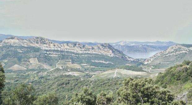 Corsica, le colline di patrimonio Le Chemin des Vignobles